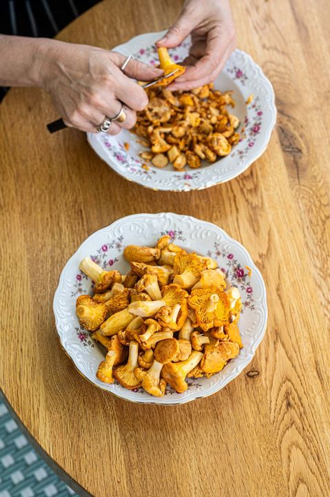 Casa Paco    Cleaning Canadian Wild Foraged Mushrooms (resize)