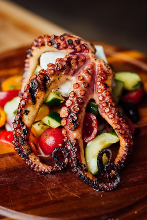 lucilles laval octopus