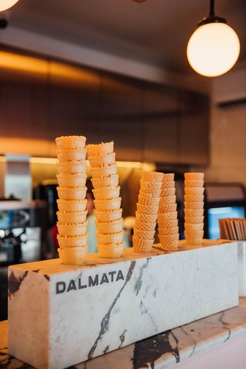 Dalmata 10