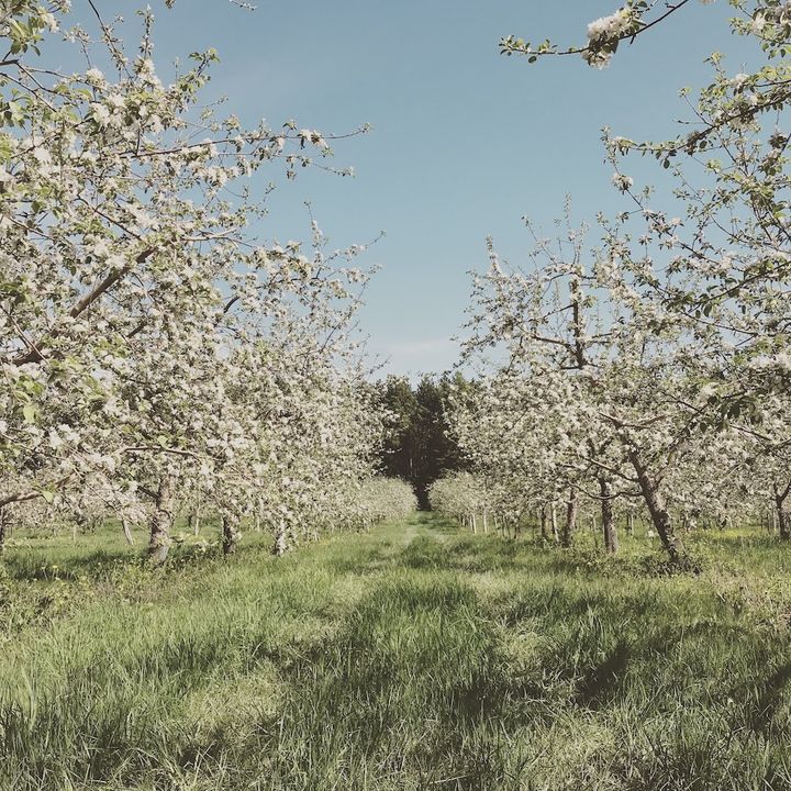 cabane d'à côté pique-nique