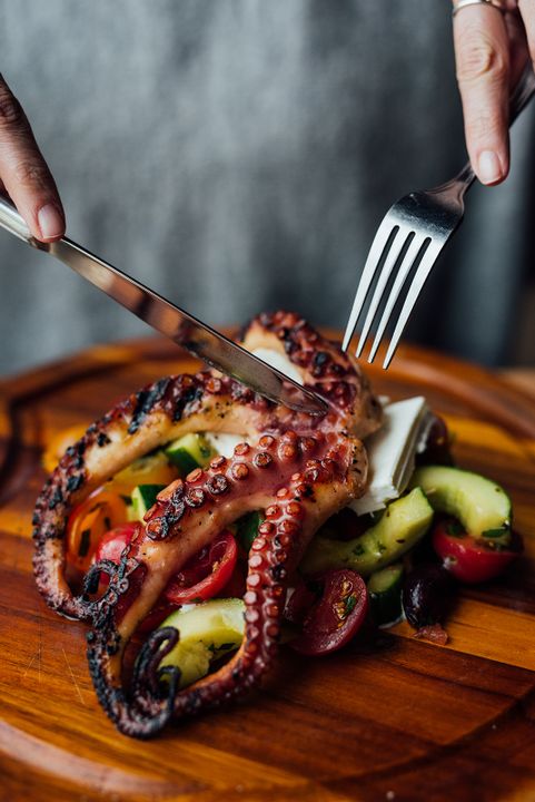 lucilles laval octopus