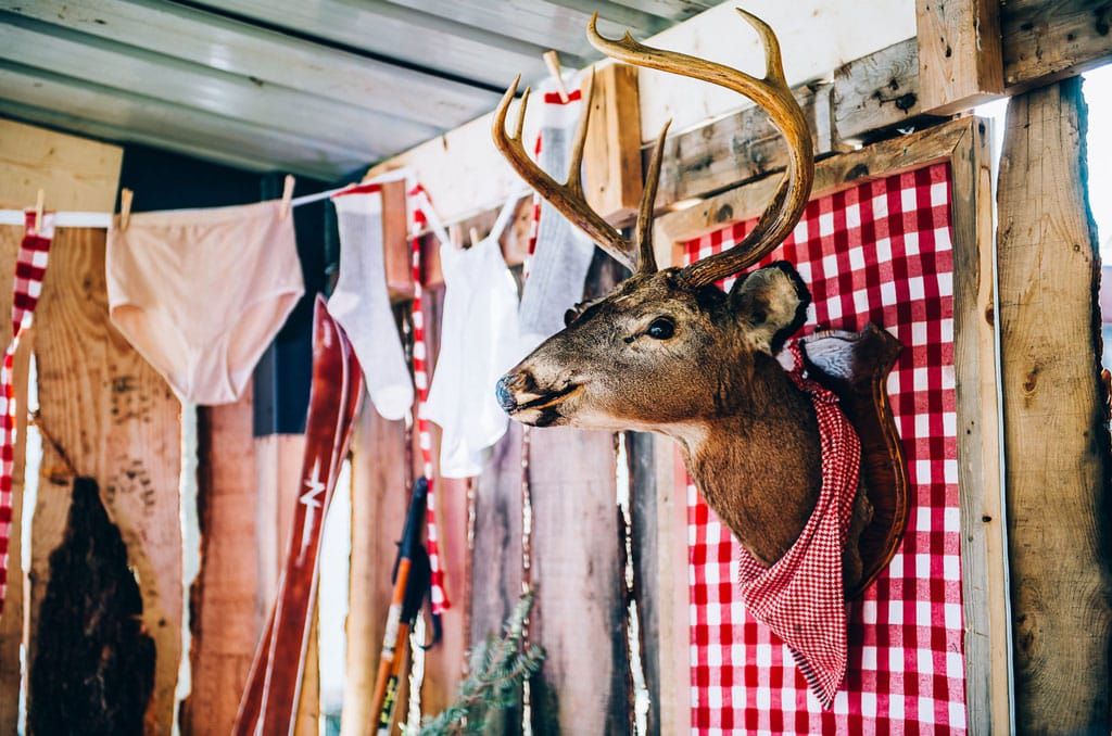 Cabane Panache et bois rond : événement original et gourmand sur la rue Wellington