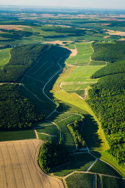 Vins de Chablis Bourgogne