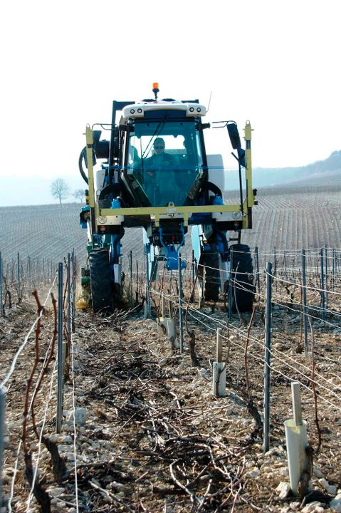 Vins de Chablis Bourgogne