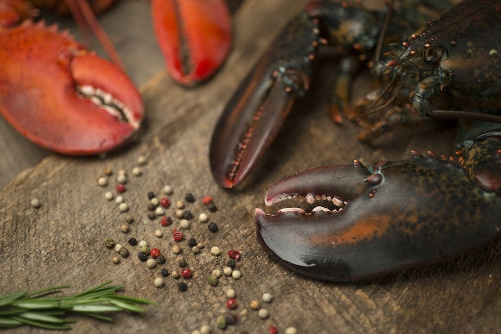semaine poisson fruits de mer restaurant ithq