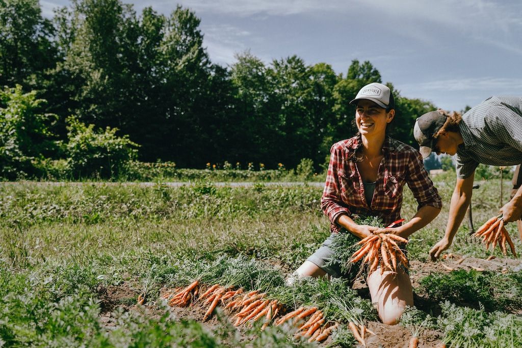 réseau des fermiers de famille