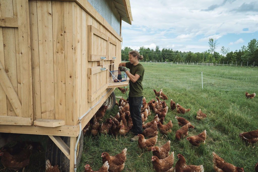 Ferme des Quatre-temps 1