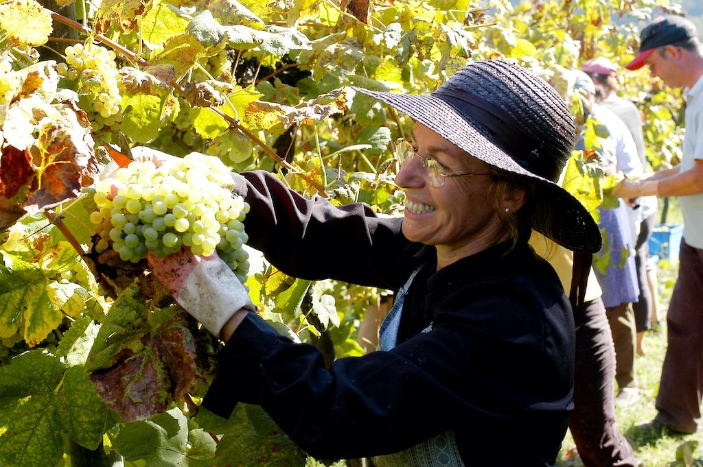 Vinho Verde