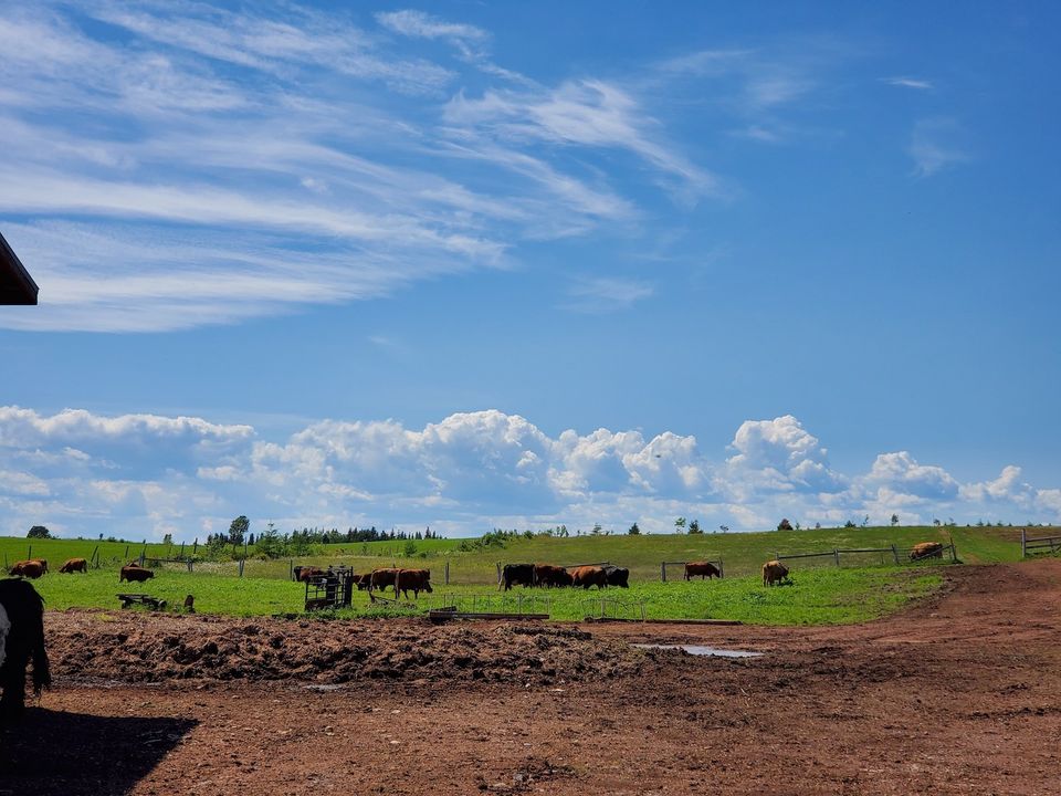 Gaspésie Sœurs Boulay
