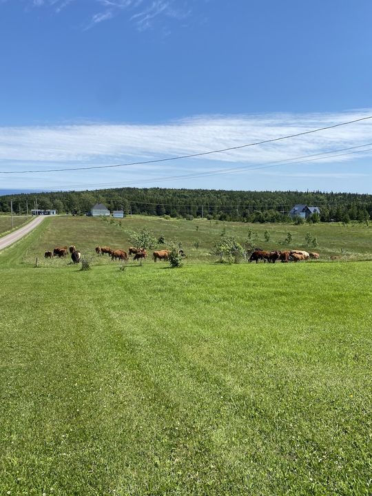 sœurs Boulay Gaspésie UPA