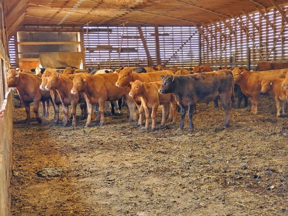 sœurs Boulay Gaspésie UPA