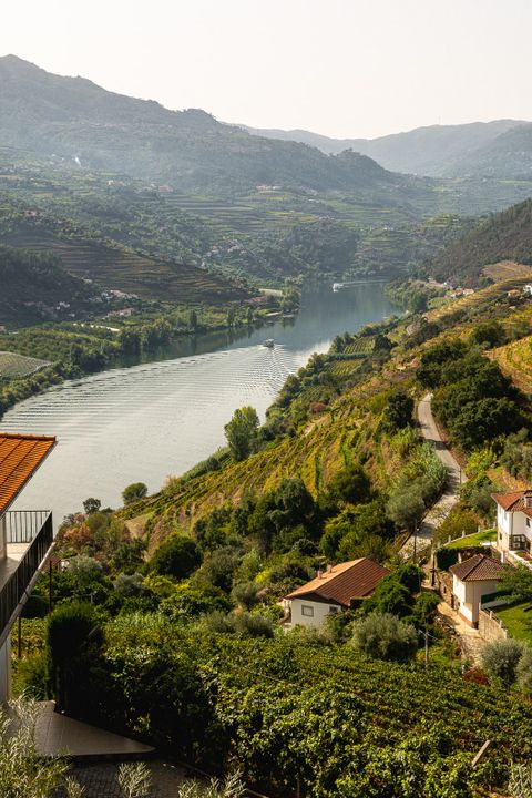 La vallée du Douro, Portugal