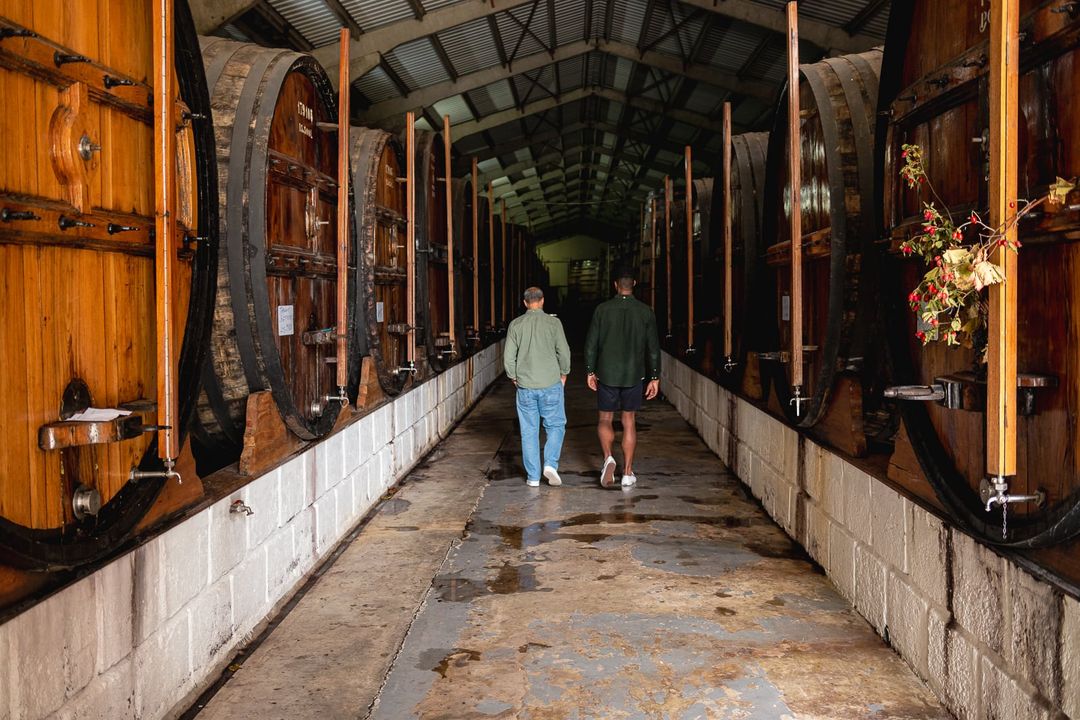Visite du vignoble de Quinta das Quartas