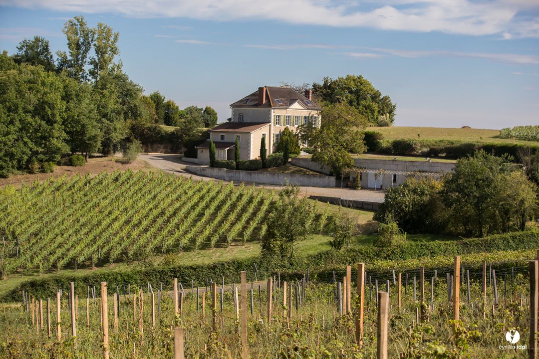 Domaine Capmartin Tanium