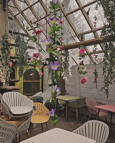 Chez Lucien