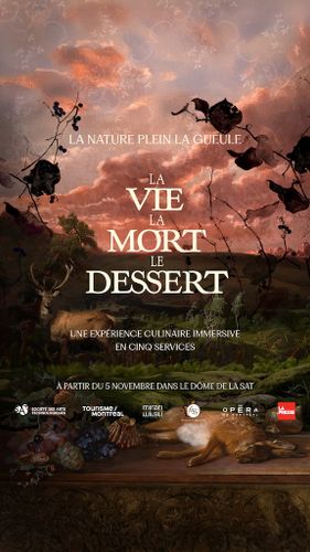 Vmd Campagne Meta Story