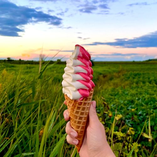 Silo Glace