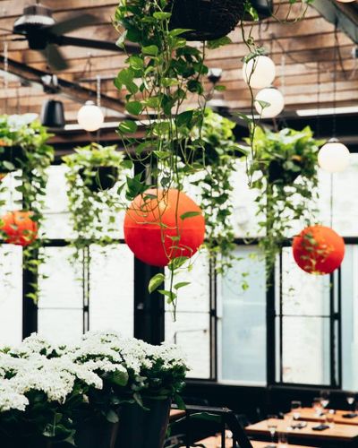 Jatoba downtown restaurant centre-ville montreal