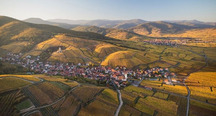 Domaine Marcel Deiss