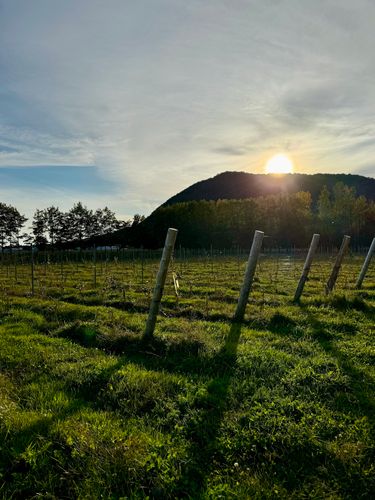 Les meilleures adresses des Cantons-de-l’Est