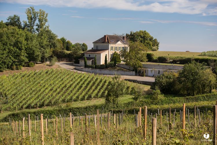 Domaine Capmartin Tanium